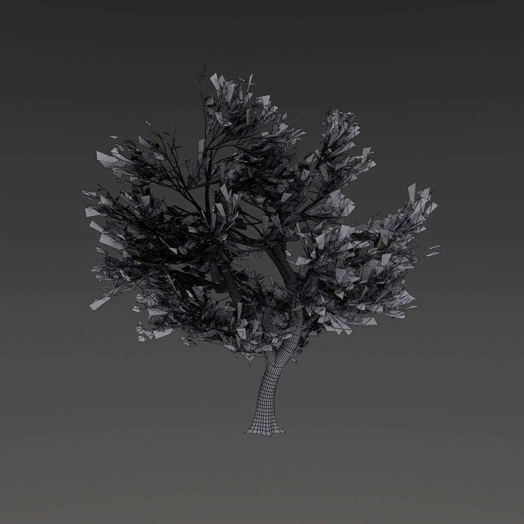 maple tree 3d model https://p.turbosquid.com/ts-thumb/49/wwVEPo/NHj9wNh3/mapletree08/jpg/1413937035/1920x1080/fit_q87/581df5f74a2a6ba8814fb8402123d8957bb9e70e/mapletree08.jpg