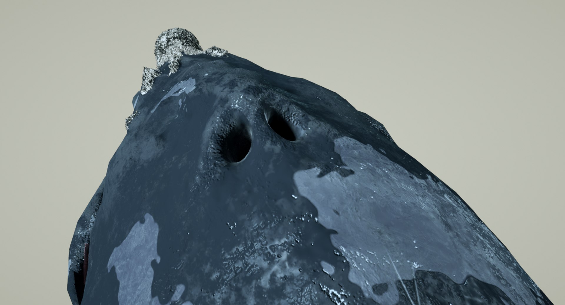 right whale animation 3D https://p.turbosquid.com/ts-thumb/49/xGeZQY/6IYlRuYt/rightwhaleviewblowhole0001/png/1544056048/1920x1080/fit_q87/aa146d7e830e3e79075b4d82ac818f9128b93736/rightwhaleviewblowhole0001.jpg