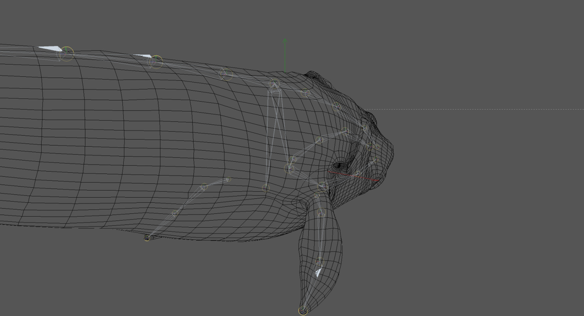 right whale animation 3D https://p.turbosquid.com/ts-thumb/49/xGeZQY/m25AW8wg/turntable_wire/jpg/1544058252/1920x1080/turn_fit_q99/7084626636ba70f7bdfecea606ede91a4abe5cb5/turntable_wire-1.jpg