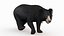 3D bear rigged sloth model