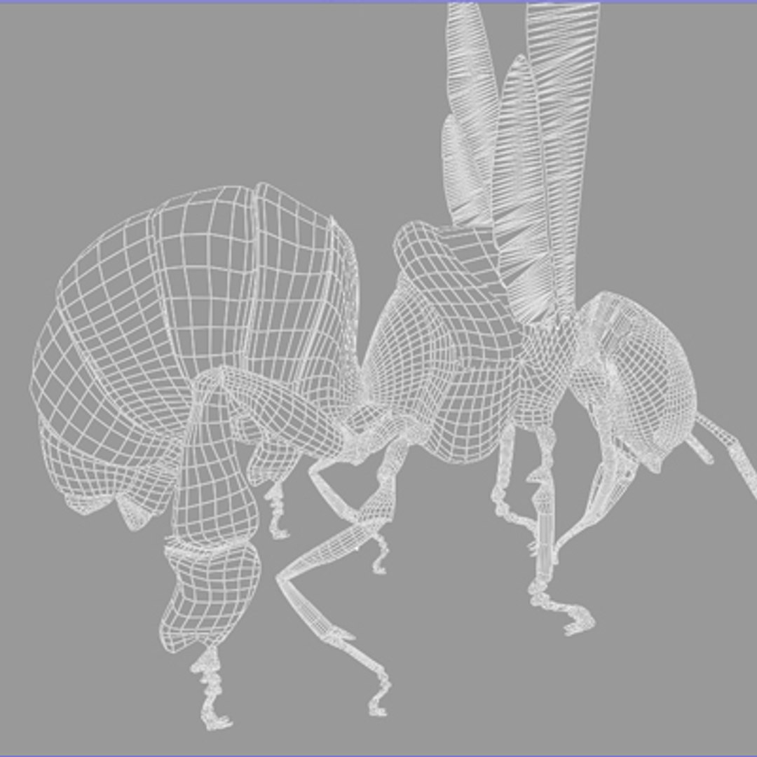 c4d honey bee https://p.turbosquid.com/ts-thumb/4A/0fKS7y/7Uqmw2RJ/bee_18/jpg/1158355972/1920x1080/fit_q87/055794313d12149bcd95bedba4ae9f9797b503f9/bee_18.jpg
