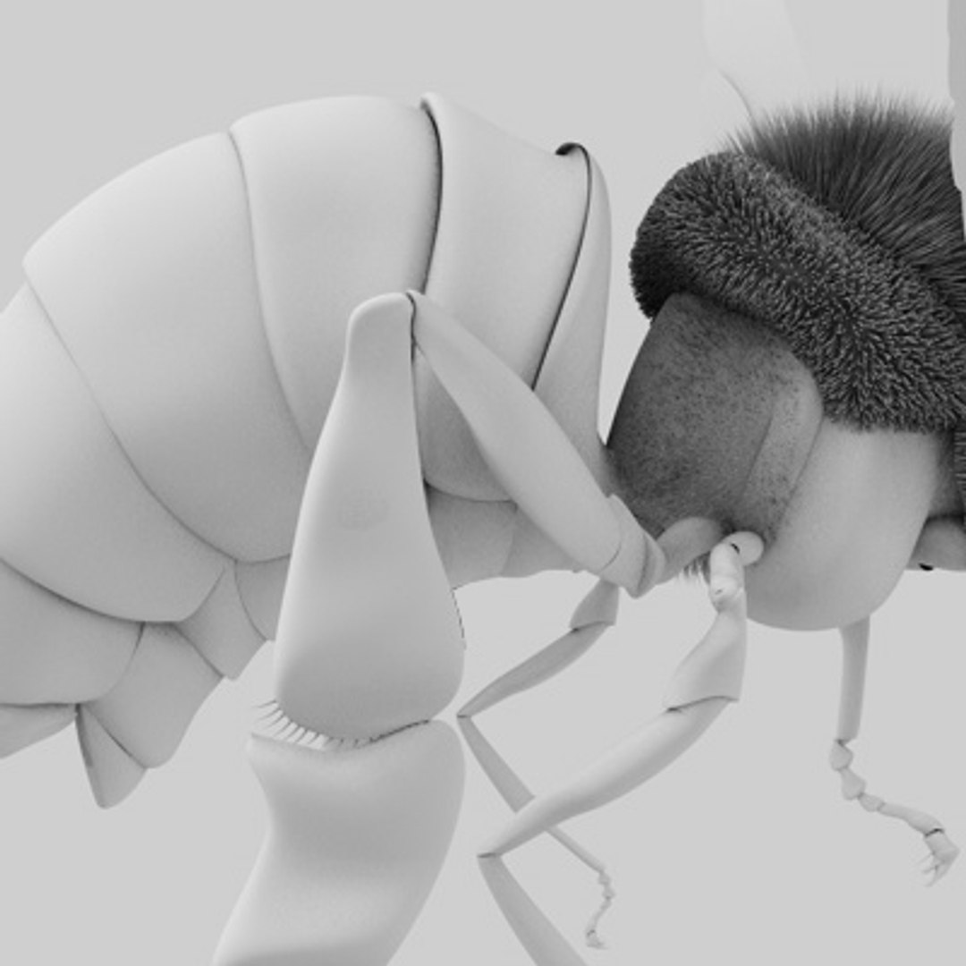 c4d honey bee https://p.turbosquid.com/ts-thumb/4A/0fKS7y/aXnkvFVd/bee_9/jpg/1158356138/1920x1080/fit_q87/485816bd78f624e63f1eb91061105e597871a507/bee_9.jpg