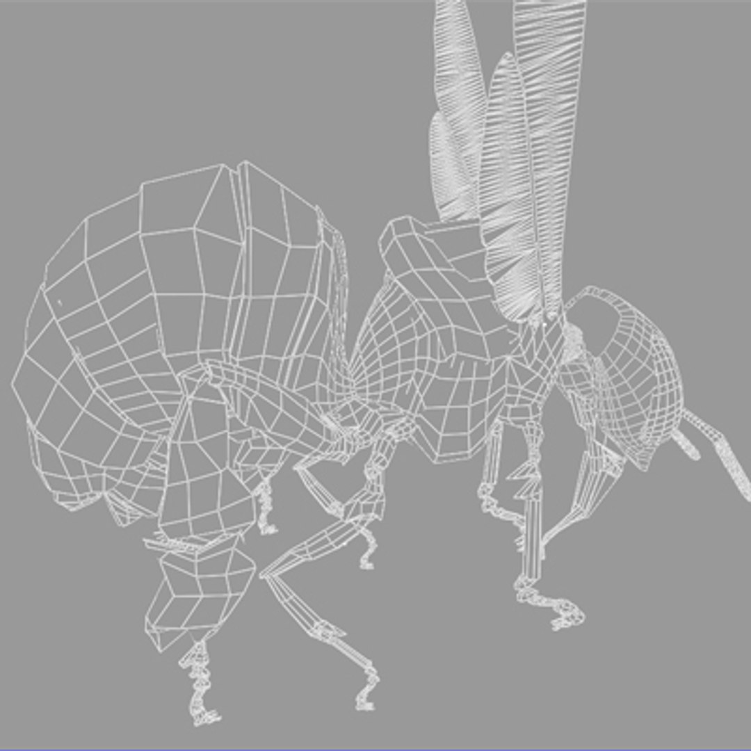 c4d honey bee https://p.turbosquid.com/ts-thumb/4A/0fKS7y/xsc9Uqsw/bee_19/jpg/1158355982/1920x1080/fit_q87/3be7ea2a9c7a9316d02cab60eb36c91170169d28/bee_19.jpg