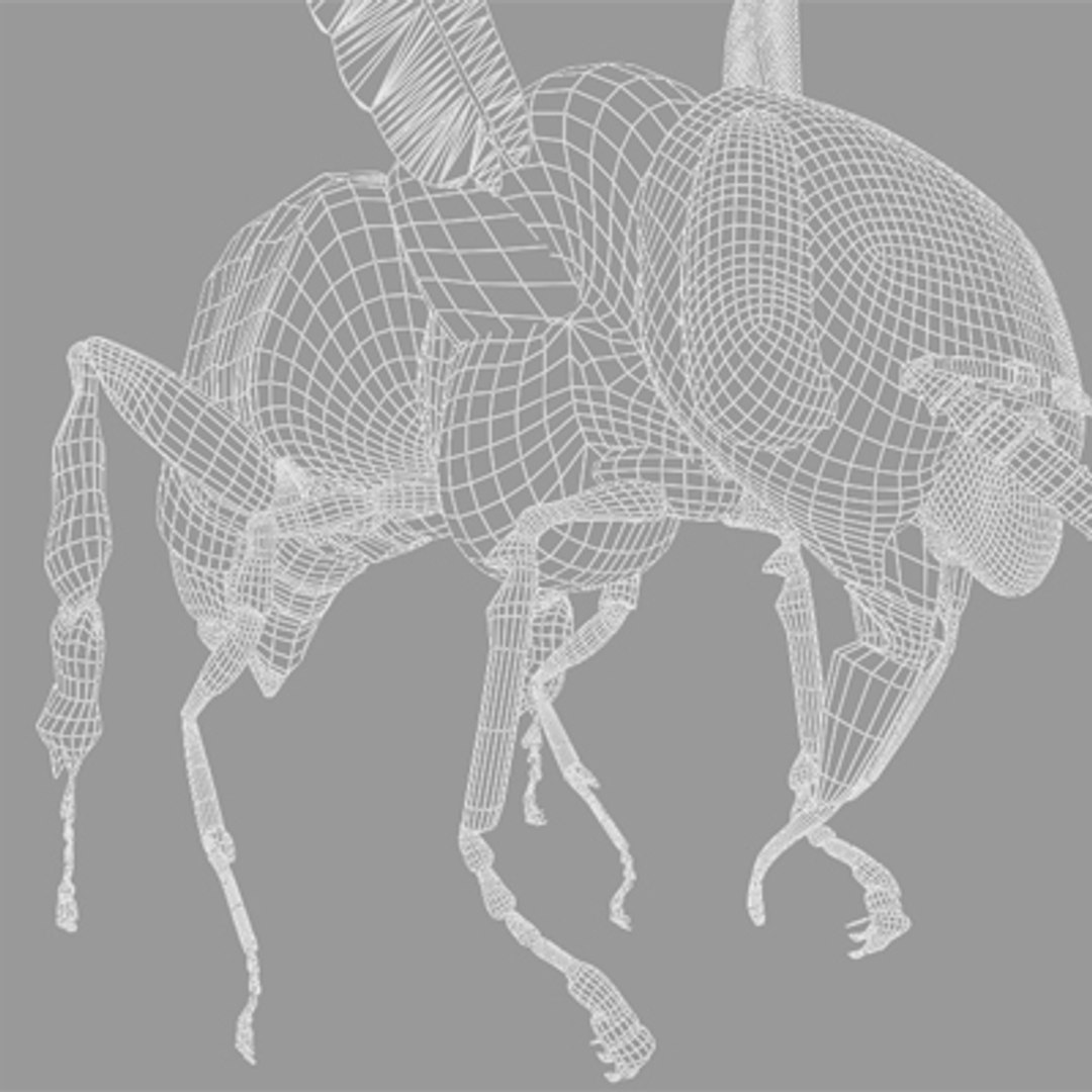 c4d honey bee https://p.turbosquid.com/ts-thumb/4A/0fKS7y/zReNofs2/bee_22/jpg/1158356019/1920x1080/fit_q87/d6ca7290b5ed9f5424a5bcc4488bca5eab0b389d/bee_22.jpg