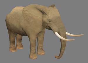 3d elephant - model