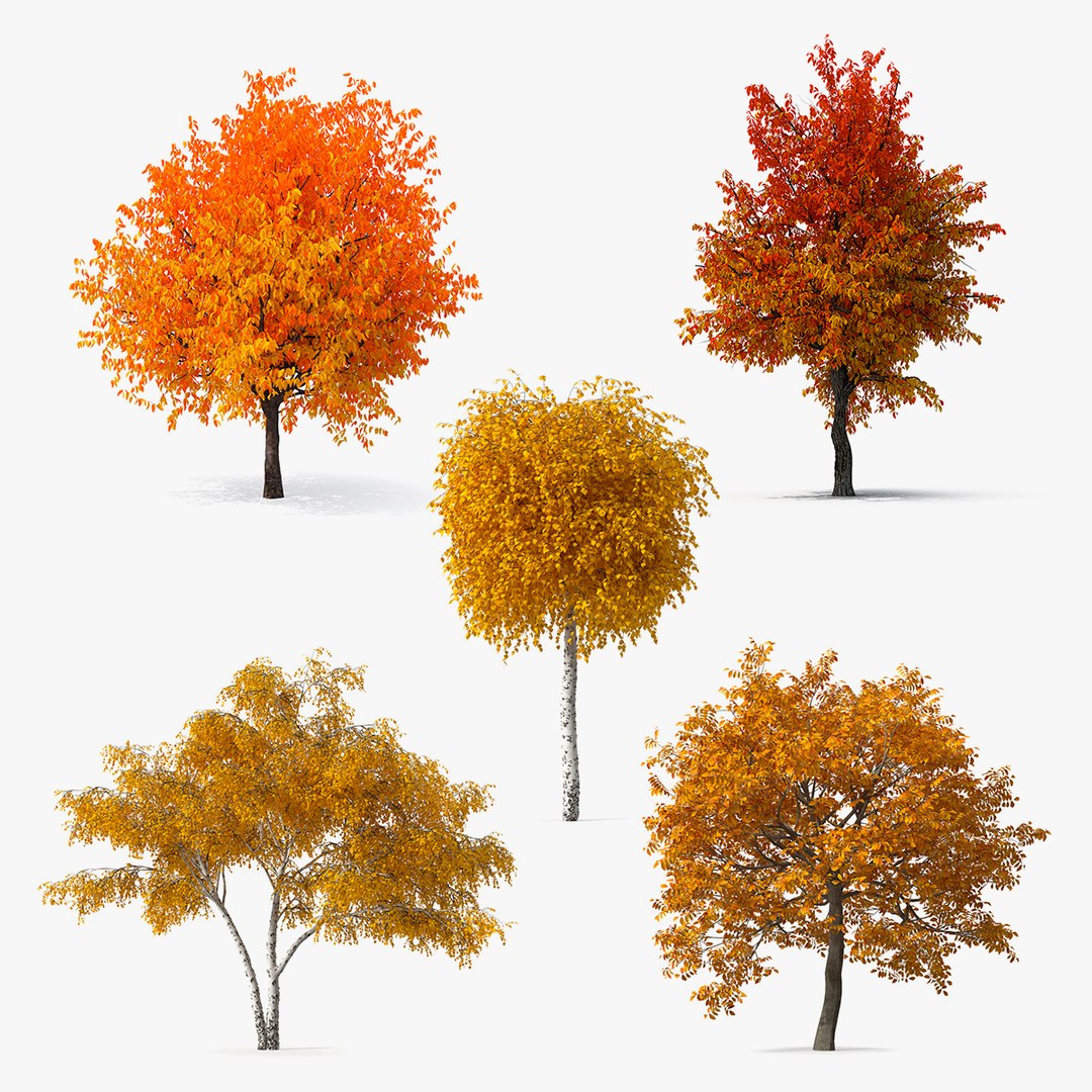 Autumn Yellow Trees Collection 2 3D model preview