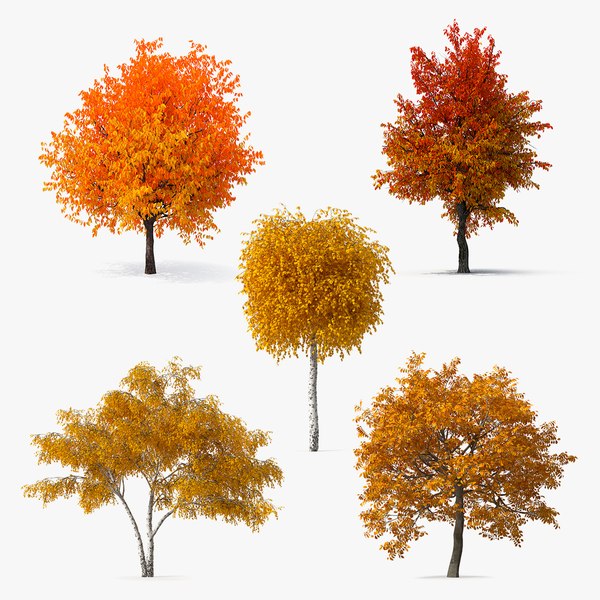 Tree 3D Models for Download | TurboSquid