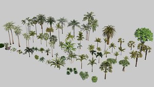 3D coconut tree20220522 model