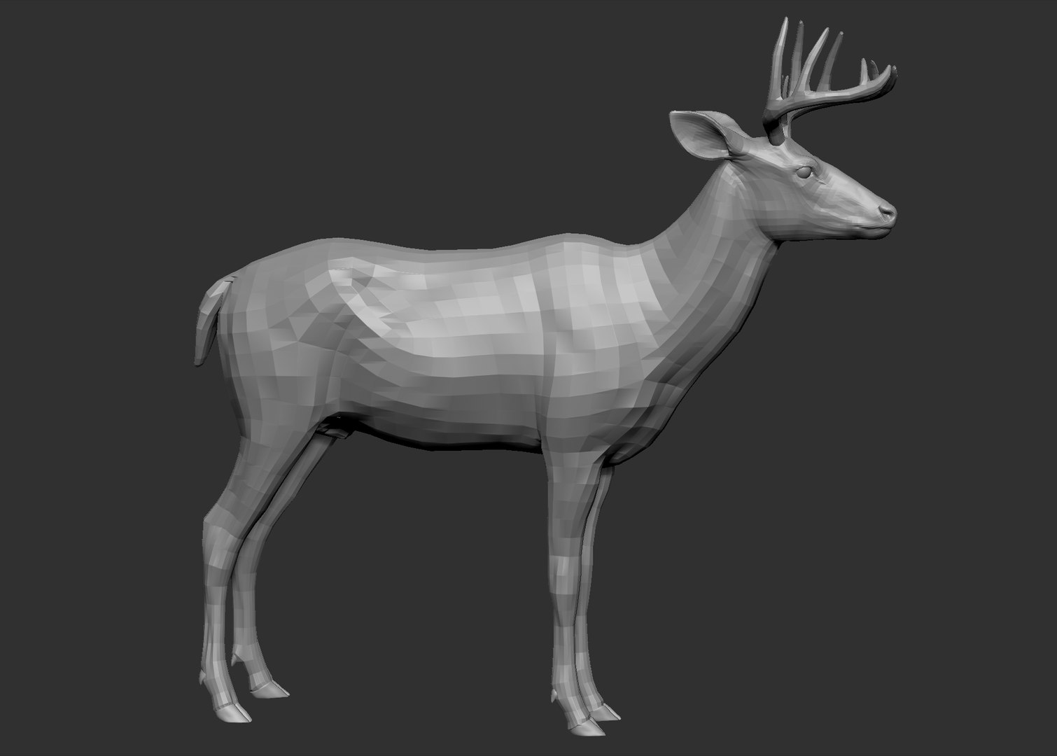 3D Model White-tailed Deer Virginia - TurboSquid 1400579