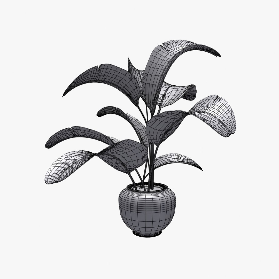 Banana House Plant 3d Max
