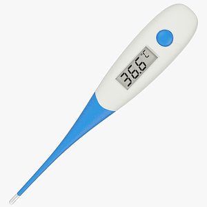Digital Thermometer Celsius