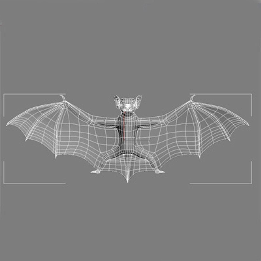 3d max rigged bat