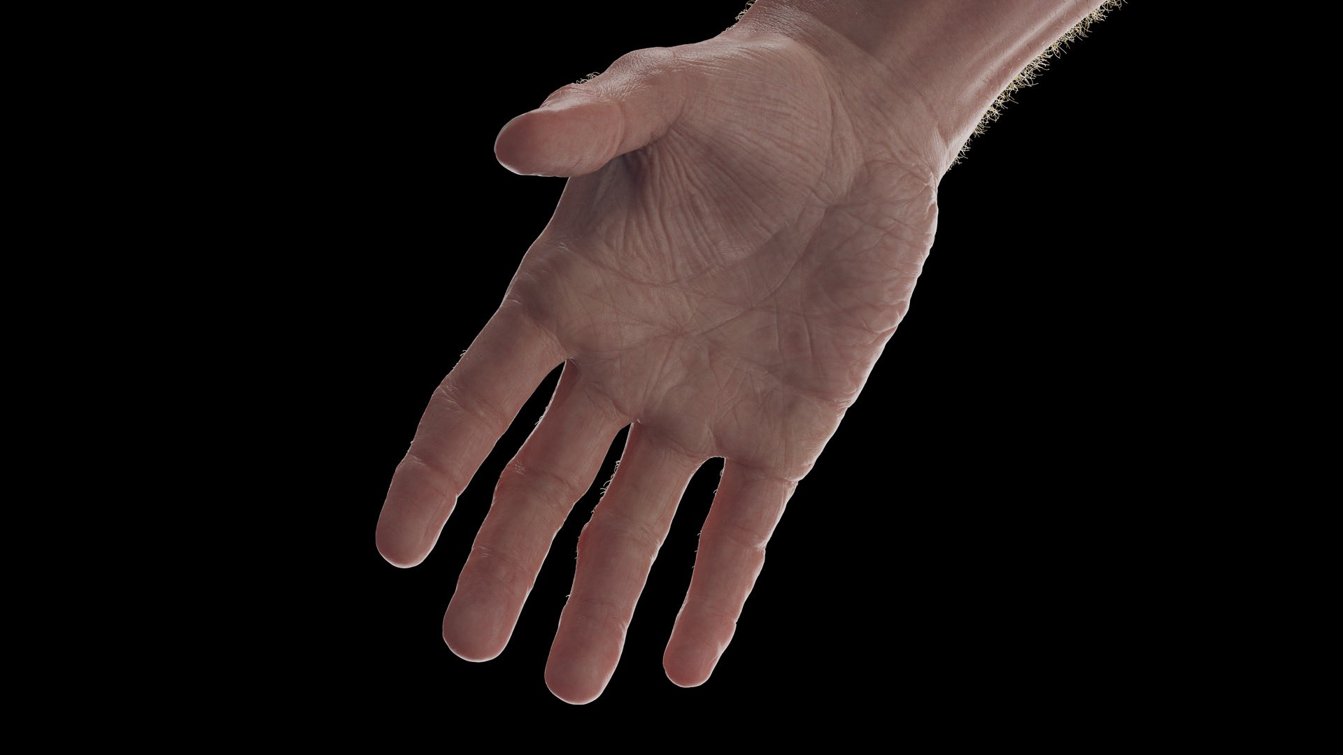 Human Male Body and Nervous System Static model https://p.turbosquid.com/ts-thumb/4A/gPvCBh/TU/male_body0009/jpg/1680701427/1920x1080/fit_q87/ac4711c1426adb2b5a3b5ed4afe9b42b243d574f/male_body0009.jpg
