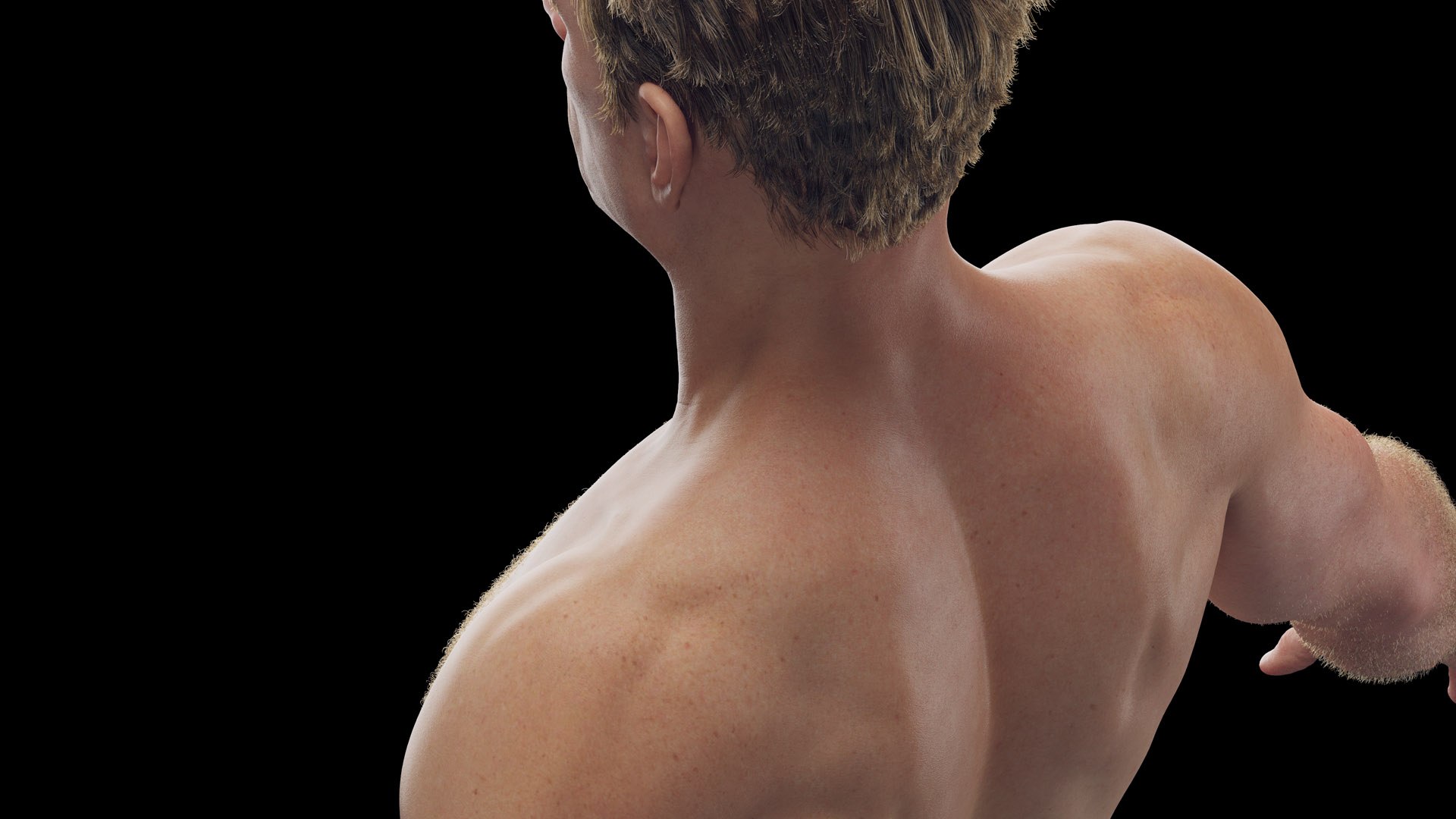 Human Male Body and Nervous System Static model https://p.turbosquid.com/ts-thumb/4A/gPvCBh/bf/male_body0002/jpg/1680701425/1920x1080/fit_q87/e54635fd126bf974d99d50a7fc7cfe525ba94ce1/male_body0002.jpg