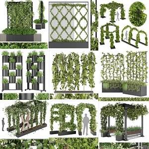 Collection plant vol 02 - fitowall - ertical - blender - 3dmax - cinema 4d model