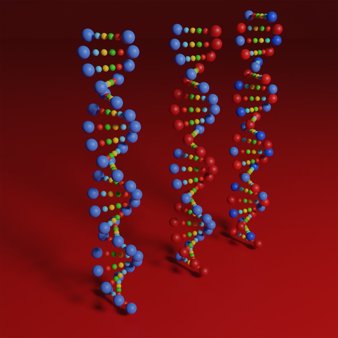 DNA Model - TurboSquid 2205037