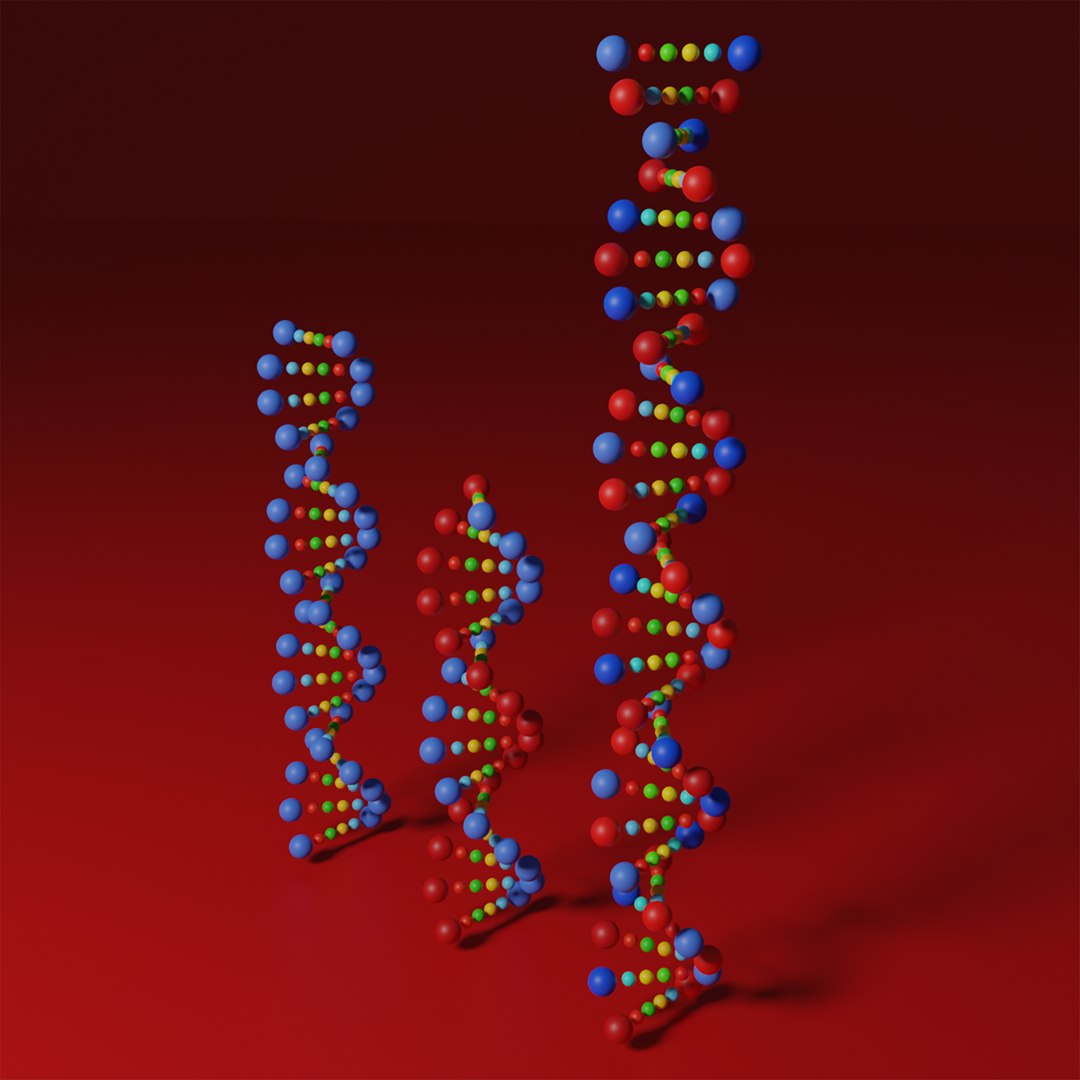 DNA Model - TurboSquid 2205037