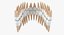Denti