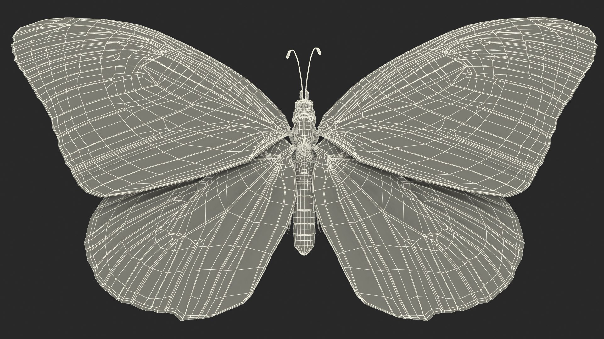 3D flying monarch butterfly rigged https://p.turbosquid.com/ts-thumb/4B/N8lsnx/DF4LOZEC/animatedflyingmonarchbutterflyrigged3dsmodel018/jpg/1573183777/1920x1080/fit_q87/2fa4f0c6c1cd5b871c0610900a60954b4d96ee64/animatedflyingmonarchbutterflyrigged3dsmodel018.jpg