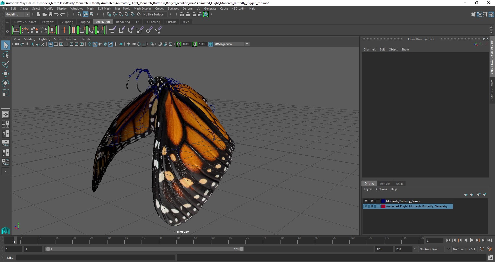 3D flying monarch butterfly rigged https://p.turbosquid.com/ts-thumb/4B/N8lsnx/SGvtZfRK/animated_flight_monarch_butterfly_rigged_mb_04/jpg/1590575843/1920x1080/fit_q87/538ffc8da87658e82c2be409d9e45238e3d2391c/animated_flight_monarch_butterfly_rigged_mb_04.jpg