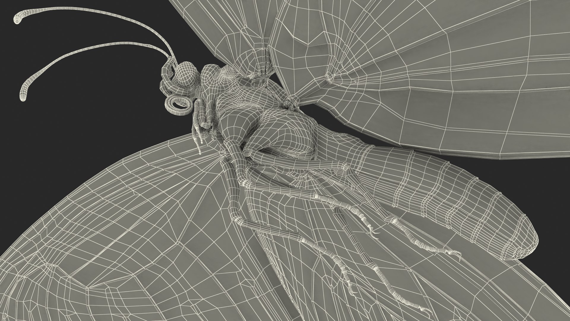 3D flying monarch butterfly rigged https://p.turbosquid.com/ts-thumb/4B/N8lsnx/SRicWFAL/animatedflyingmonarchbutterflyrigged3dsmodel019/jpg/1573183781/1920x1080/fit_q87/ca12cbb1c0163f8adb7b4a32df87278df12827ea/animatedflyingmonarchbutterflyrigged3dsmodel019.jpg