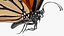 Animated Flying Monarch Butterfly Rigged for Maya