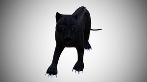 Black Panther Rigged Low Poly Pantera Negra