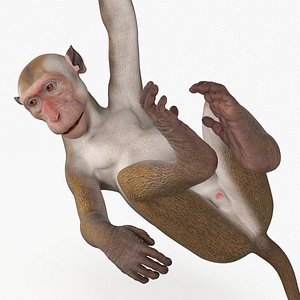 Hanging Macaque Light Brown