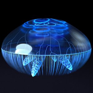 3D model jellyfish animation