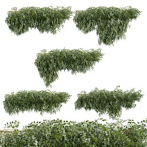 Collection plant vol 754 Corona 7 max 2015 3D