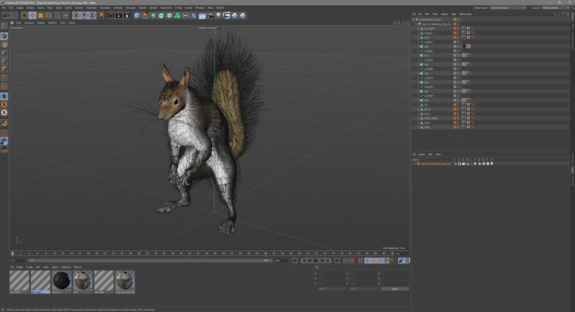 3D Squirrel Standing Gray Fur for Cinema 4D https://p.turbosquid.com/ts-thumb/4B/n3l8Mw/Yx/squirrel_standing_gray_fur_for_cinema_4d_1002/jpg/1753845894/1920x1080/fit_q87/a1fe83a4c73f3afea92c29c0fa5252faa70254e8/squirrel_standing_gray_fur_for_cinema_4d_1002.jpg
