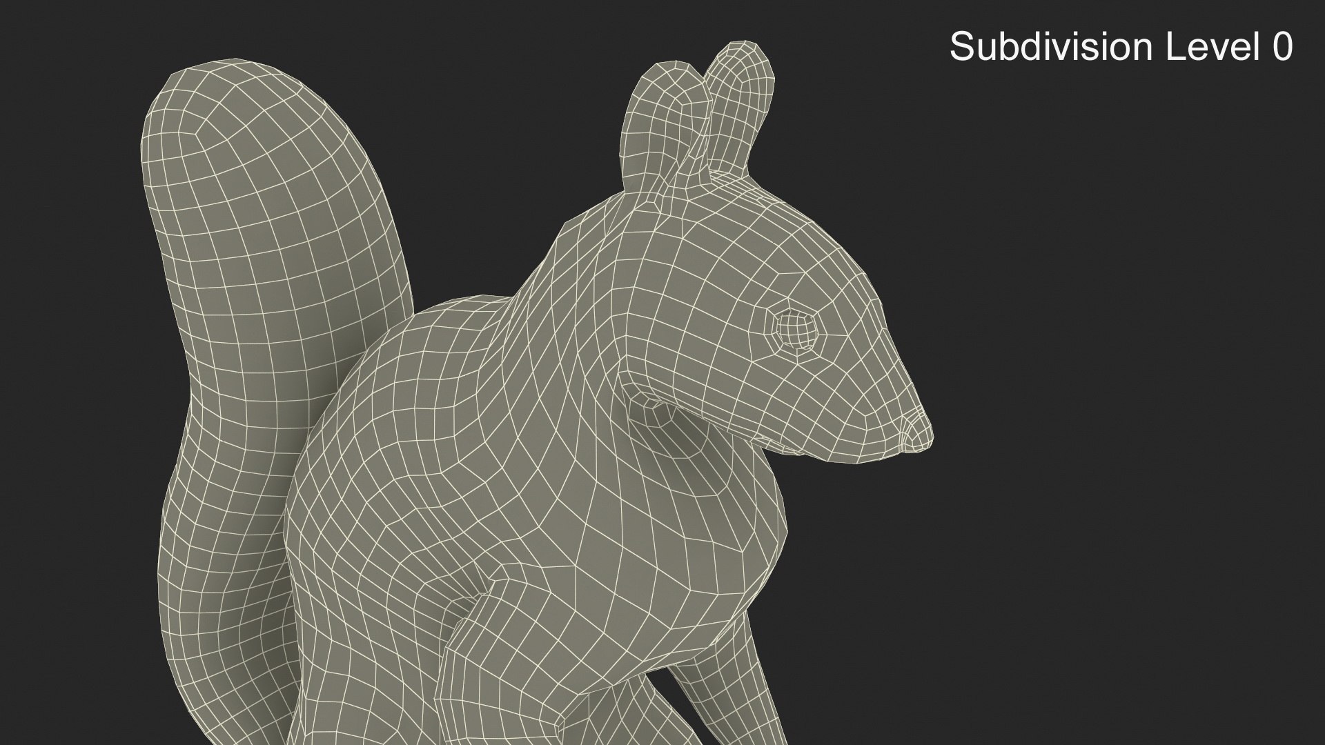 3D Squirrel Standing Gray Fur for Cinema 4D https://p.turbosquid.com/ts-thumb/4B/n3l8Mw/ju/squirrel_standing_gray_fur_010/jpg/1753845866/1920x1080/fit_q87/f82e26e66c70bf2665994931ef61bb895f351e92/squirrel_standing_gray_fur_010.jpg