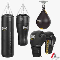 Punching Bag, Boxing Gloves, Set