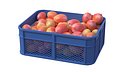 Mango 2 Plastic Crate