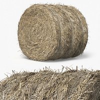 Cylindrical Hay Bale Roll Golden Brown