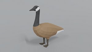 3D canada goose