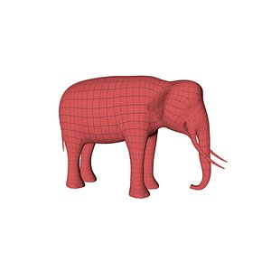 3D base mesh asian elephant model