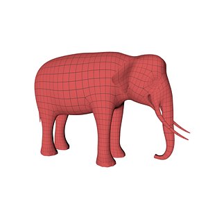 3D base mesh asian elephant model