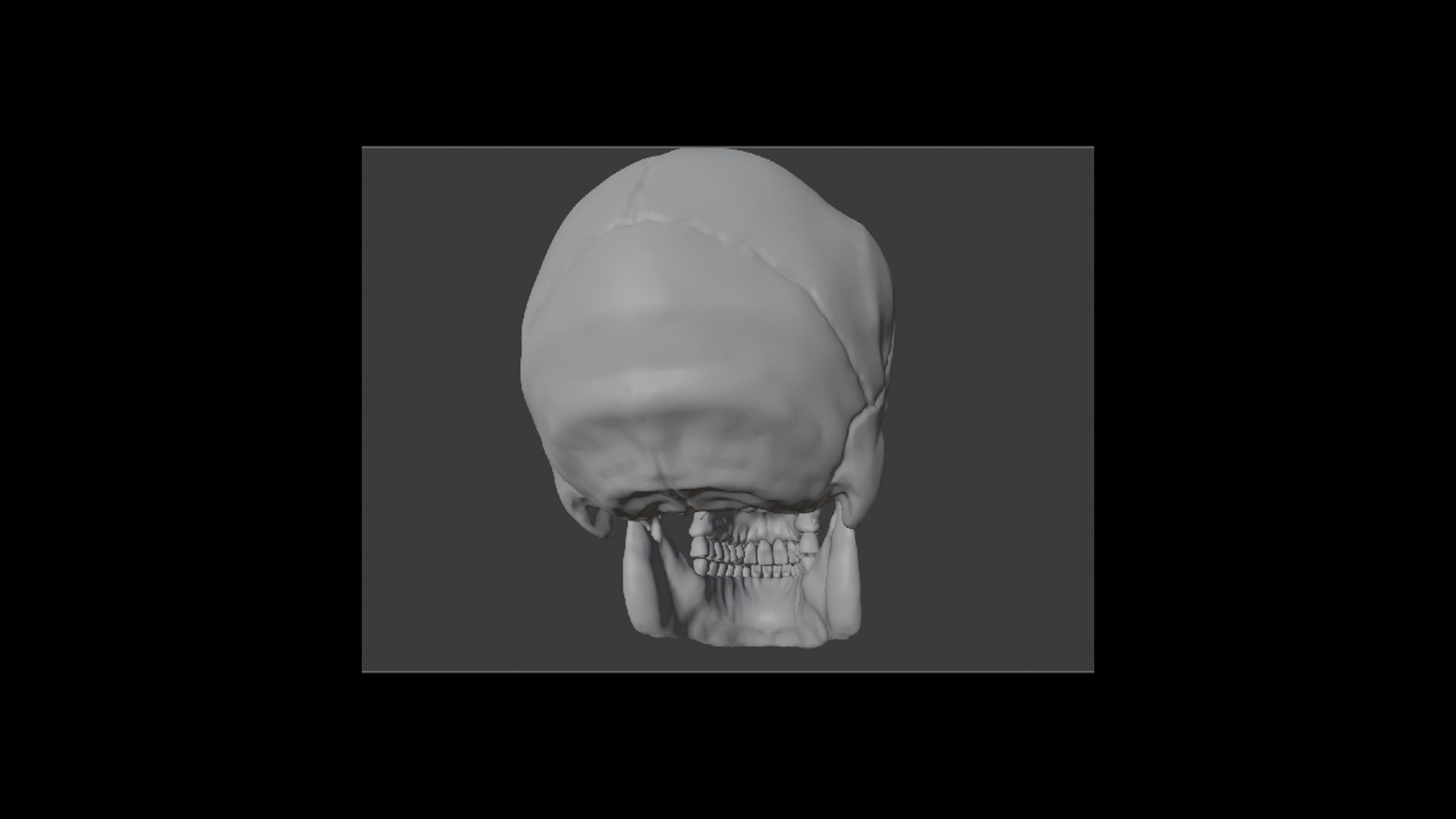 Human skull 3D model https://p.turbosquid.com/ts-thumb/4C/LTMeWw/X5/6/png/1736178242/1920x1080/fit_q87/a96344954649b09808438e3372b6c2533a66d237/6.jpg