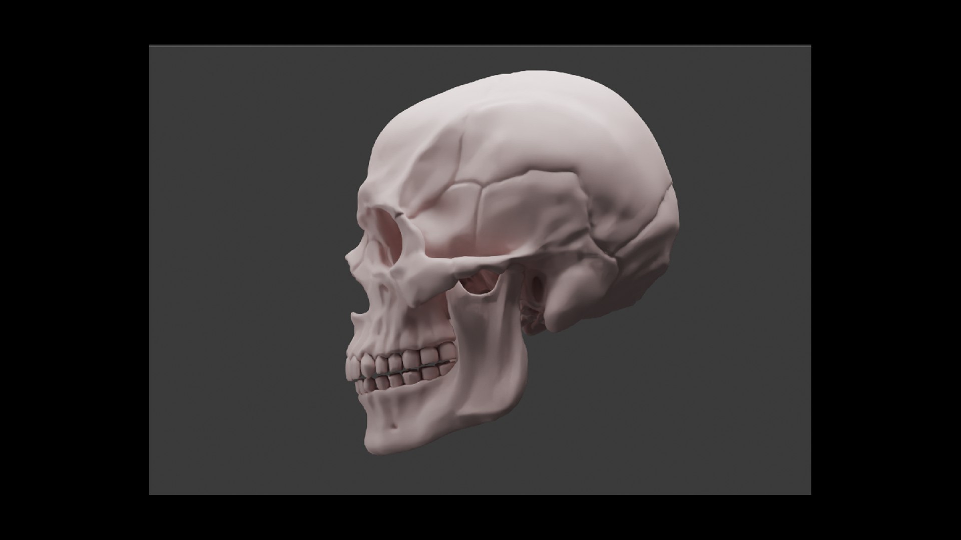 Human skull 3D model https://p.turbosquid.com/ts-thumb/4C/LTMeWw/Y6/2/png/1736178212/1920x1080/fit_q87/27baf5879e02d1992c8461ca9c8755a67cf30754/2.jpg