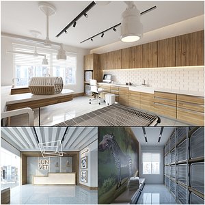 Veterinary Clinic Interior