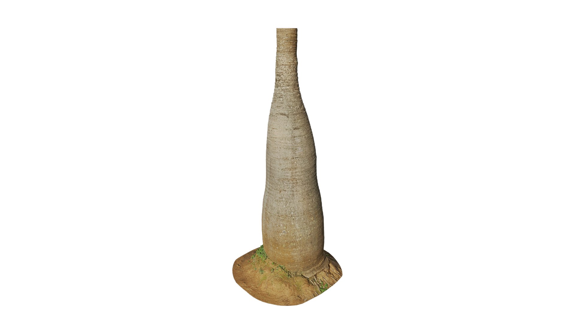 3D Anydrafts Hyophorbe lagenicaulis Trunk 02 3d model https://p.turbosquid.com/ts-thumb/4C/lIQSs1/qv/ad_hyophorbe_lagenicaulis_trunk_02_8k_render_3d_maincamera5_fullquality_00000/png/1761383065/1920x1080/fit_q87/b75baa53391ee72d2538c916ca52fcb39dc84e33/ad_hyophorbe_lagenicaulis_trunk_02_8k_render_3d_maincamera5_fullquality_00000.jpg