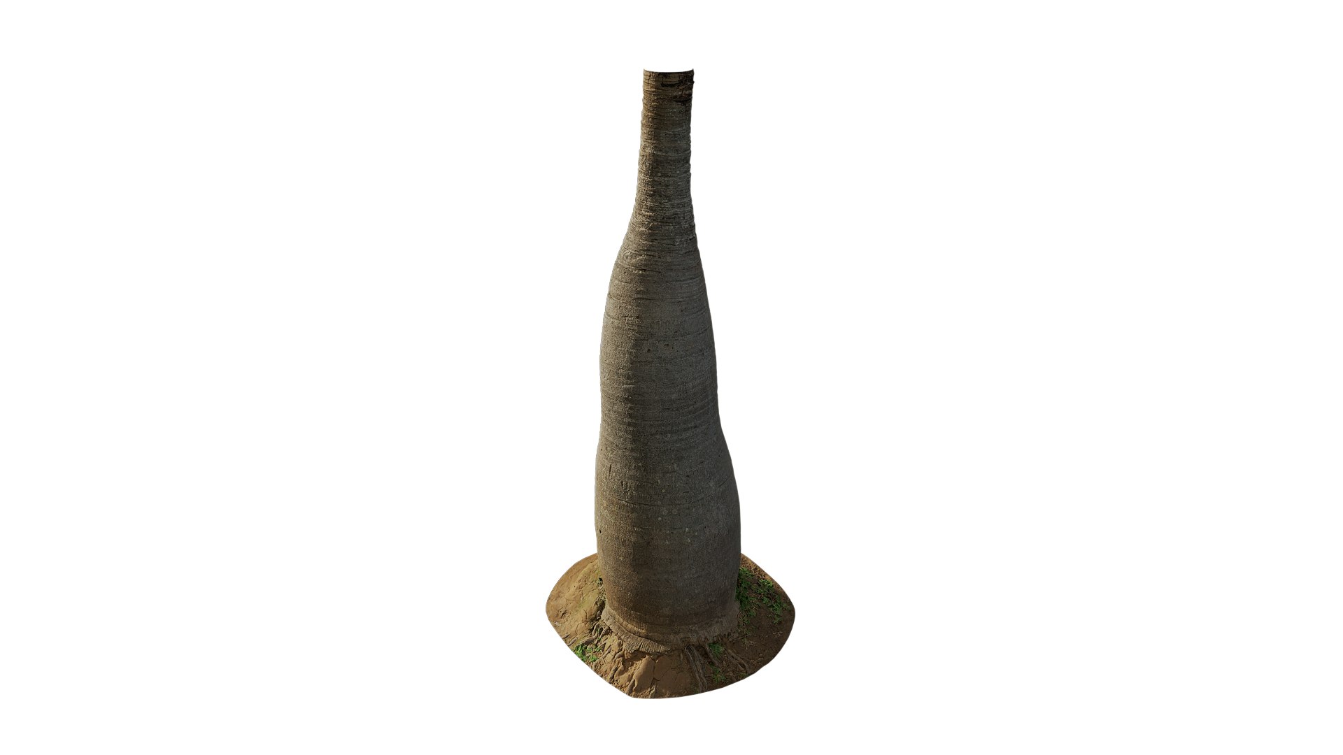 3D Anydrafts Hyophorbe lagenicaulis Trunk 02 3d model https://p.turbosquid.com/ts-thumb/4C/lIQSs1/uQ/ad_hyophorbe_lagenicaulis_trunk_02_8k_render_3d_maincamera4_fullquality_00000/png/1761383055/1920x1080/fit_q87/f7e5ccf972068deacae474d39b37190eb4562815/ad_hyophorbe_lagenicaulis_trunk_02_8k_render_3d_maincamera4_fullquality_00000.jpg