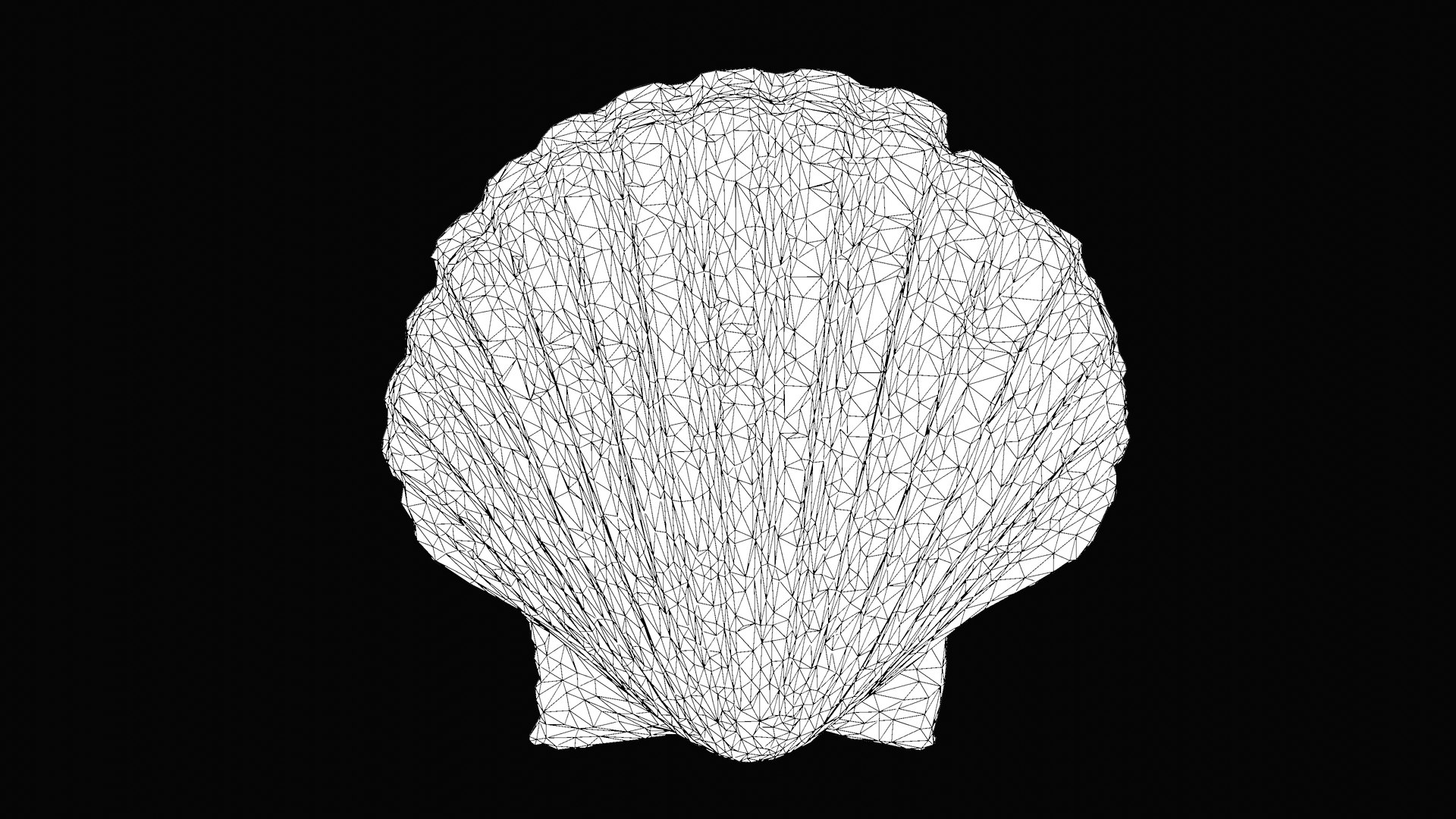 Shell scallop sea 3D model - TurboSquid 1627569