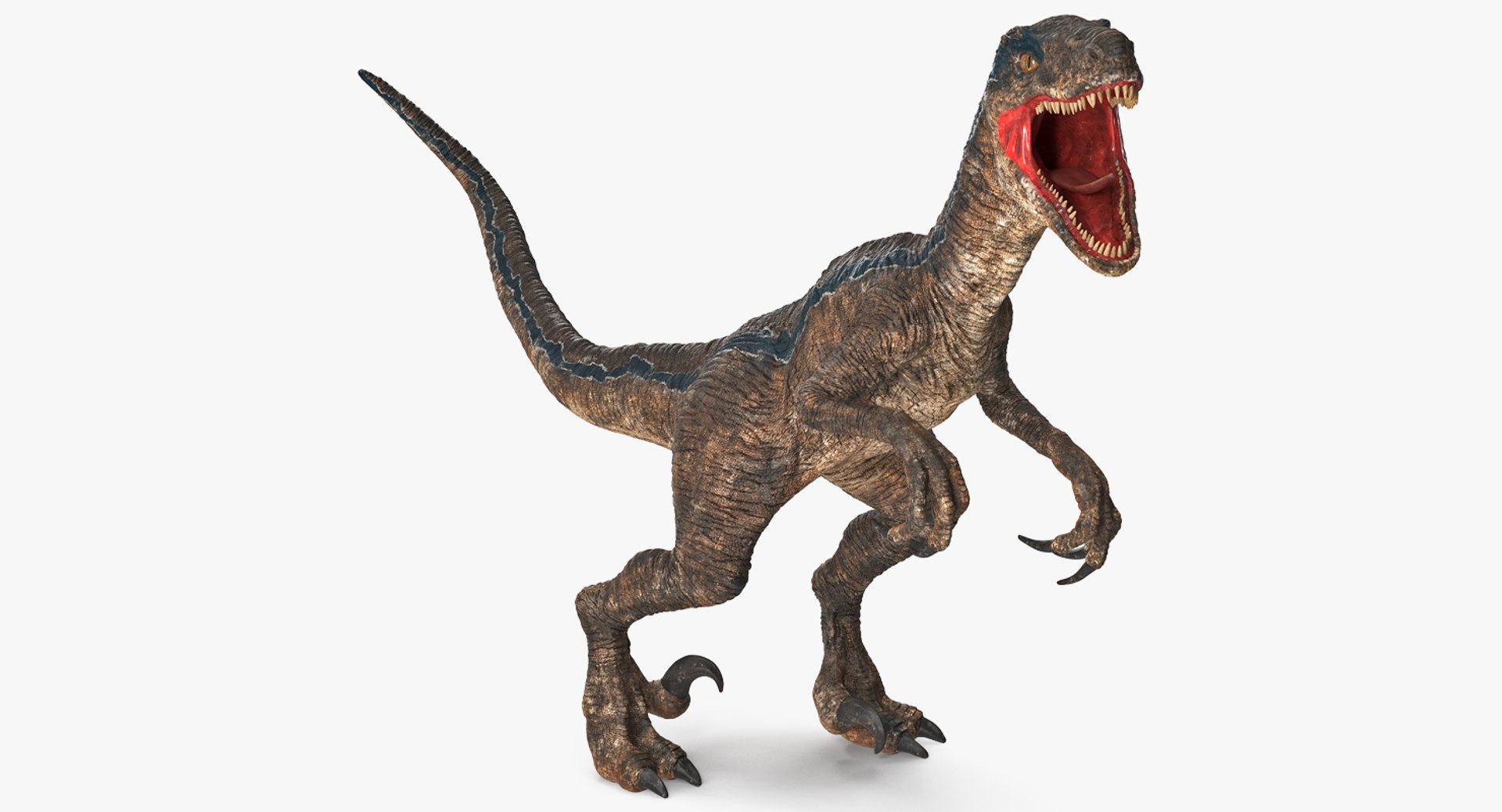 Velociraptor Rigged 3D Model 3D model preview