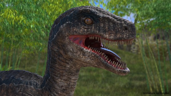 Velociraptor Rigged 3D 모델 - TurboSquid 1397683