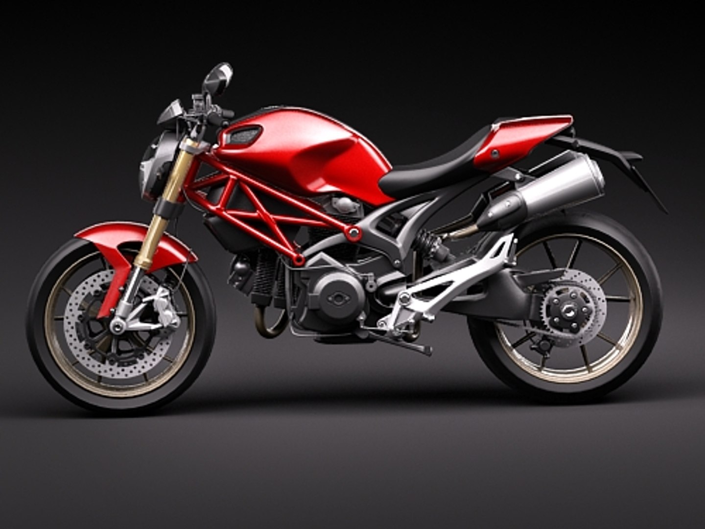 Ducati Monster 1100s 2009 3d Lwo