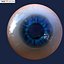 realistic human eye 3d model