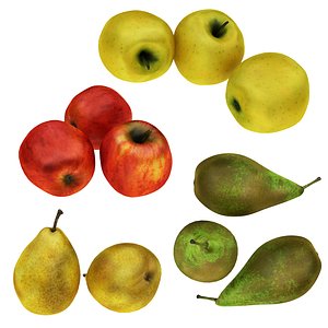 apple pear 3D model