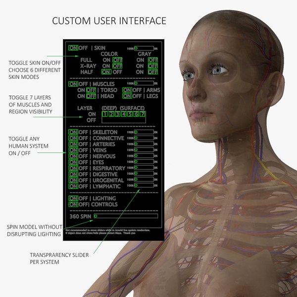 ultimate complete female anatomy 3d obj